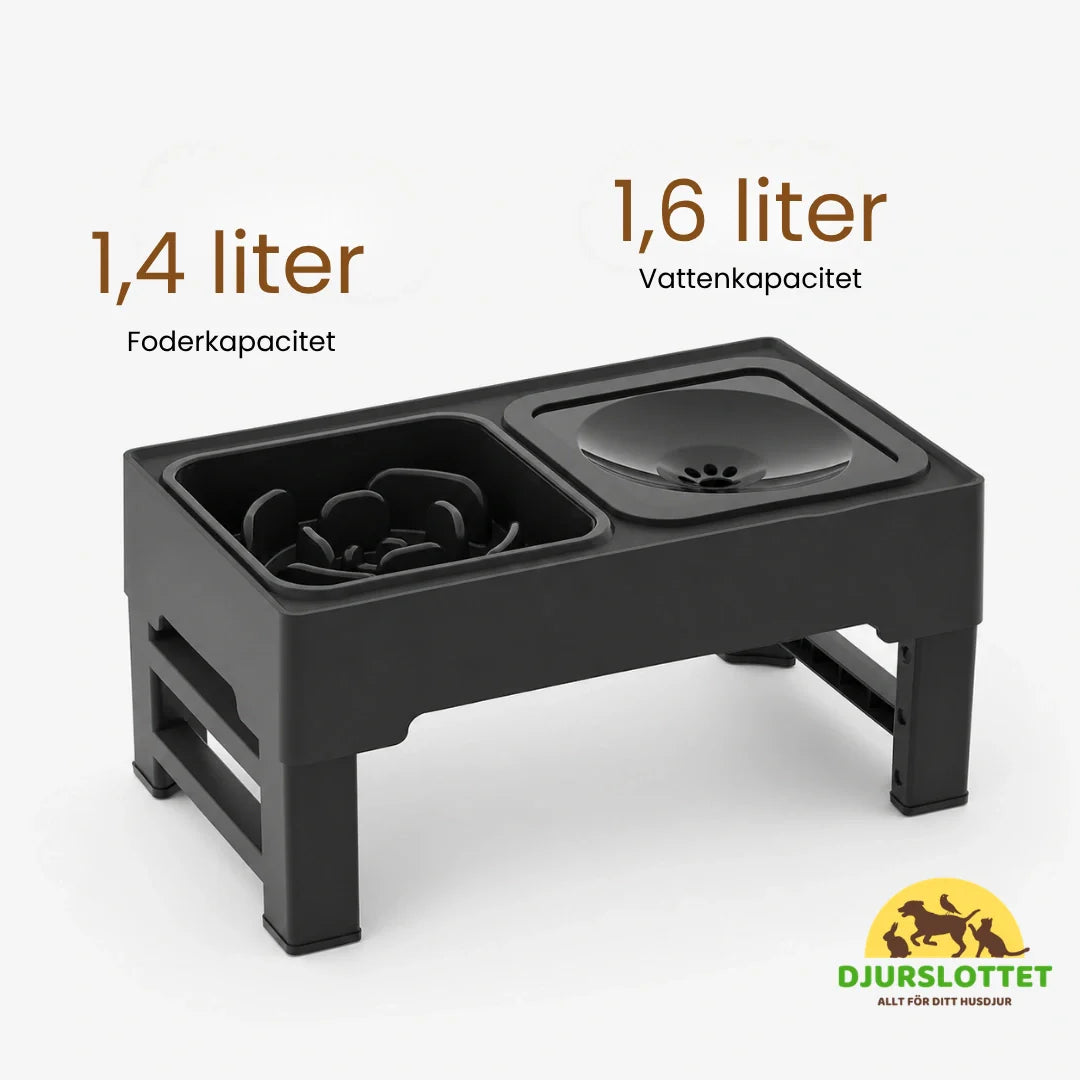 Ergonomisk upphöjd matskål som förbättrar hundens hållning och matsmältning under måltiden.