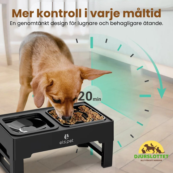 Kattmatskål UpFeed Pro: slowfeeder för kattungar & vuxna katter som äter lugnare och slipper spill.