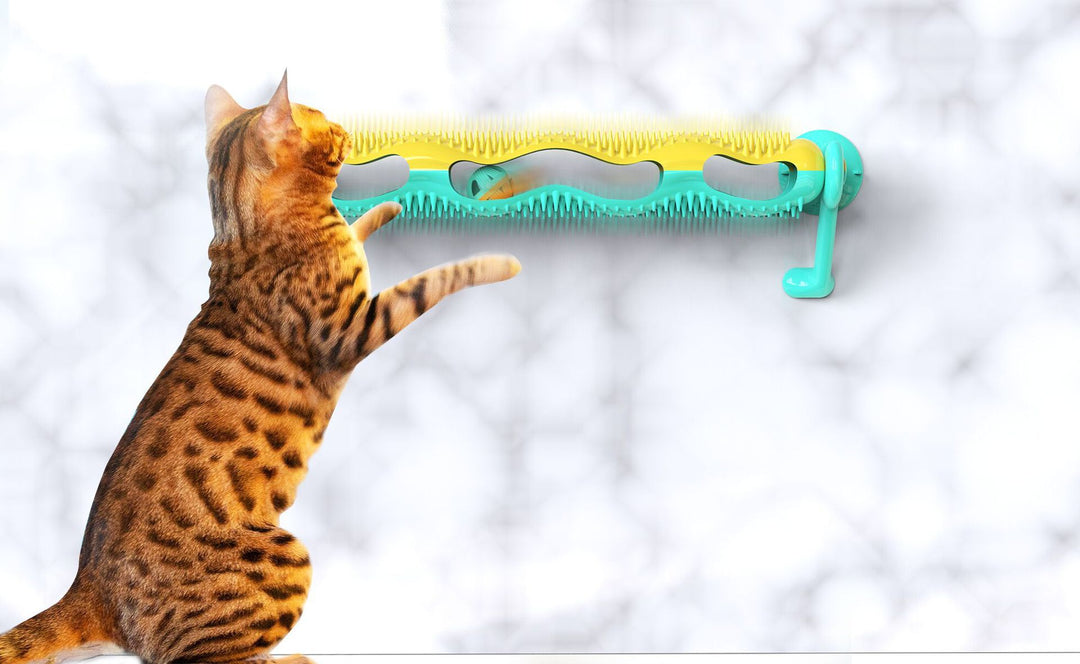 Interaktiv kattleksak väggborste som stimulerar katter & kattungar. Perfekt för lek & pälsvård.