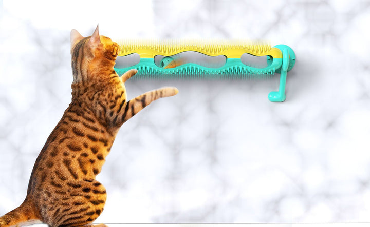 Interaktiv kattleksak väggborste som stimulerar katter & kattungar. Perfekt för lek & pälsvård.