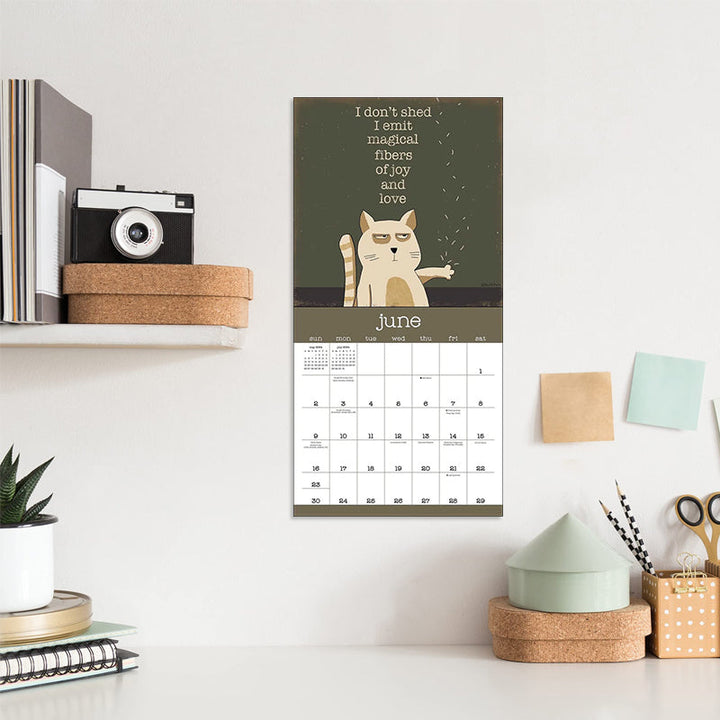 "Väggkalender 2024 med humoristiska kattbilder, perfekt för kattälskare som vill ha skratt i vardagen."