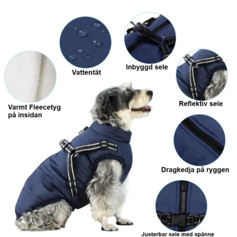 Praktisk hundaccessoar: 2-i-1 värmande vinterjacka och sele för husdjurspromenader.