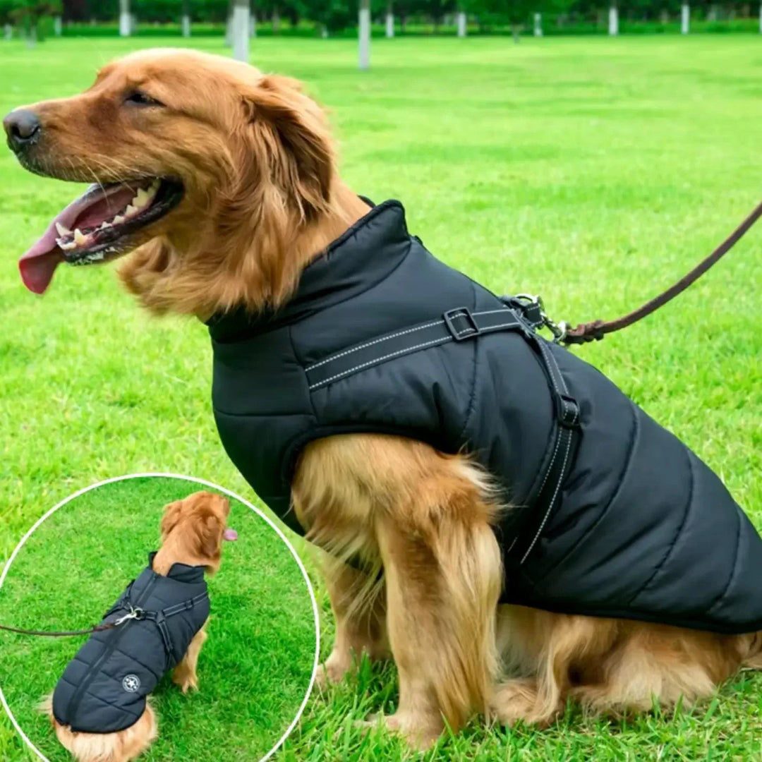 Hållbart vintertäcke för hund, med vattentät yta och värmande insida. Skyddar mot kyla och vind.