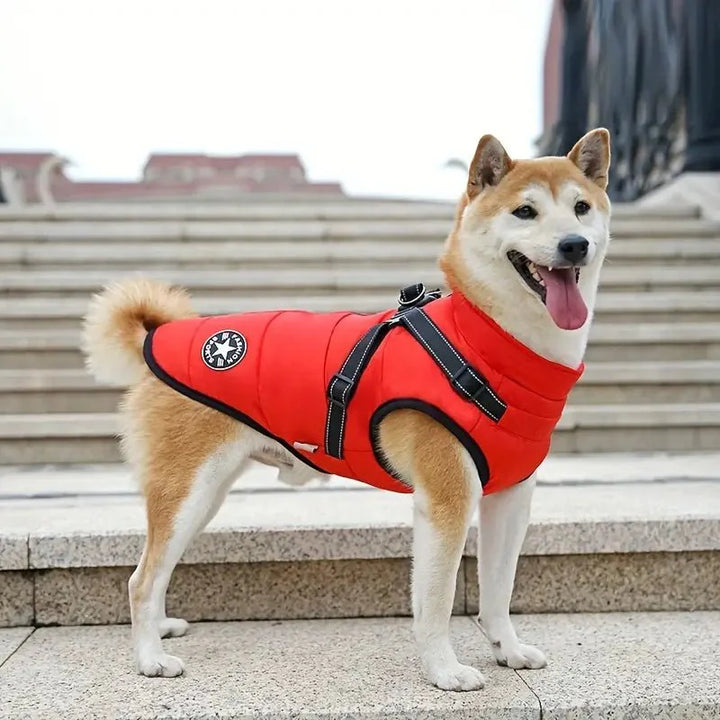 Slitstarkt hundtäcke, vattentätt och vindtätt för aktiva hundar utomhus i vinterkylan.