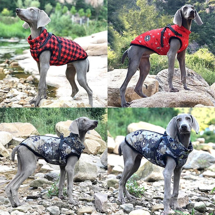 Vintertäcke för stor hund, robust och vattentätt. Skyddar effektivt mot snö, regn och kyla.