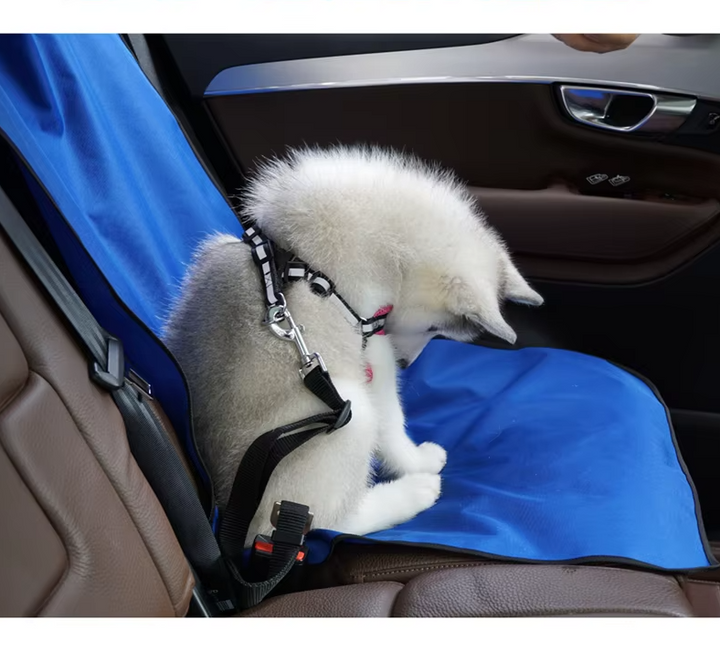 Premium vattentät & halkfri hundmatta. Robust bilmatta för säkra och rena resor med hunden.