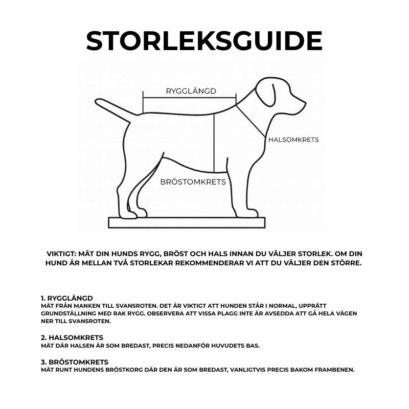 Vinteroverall för hund med vattentätt ytterskikt och varma, skyddande tasskydd, idealisk för kalla promenader.