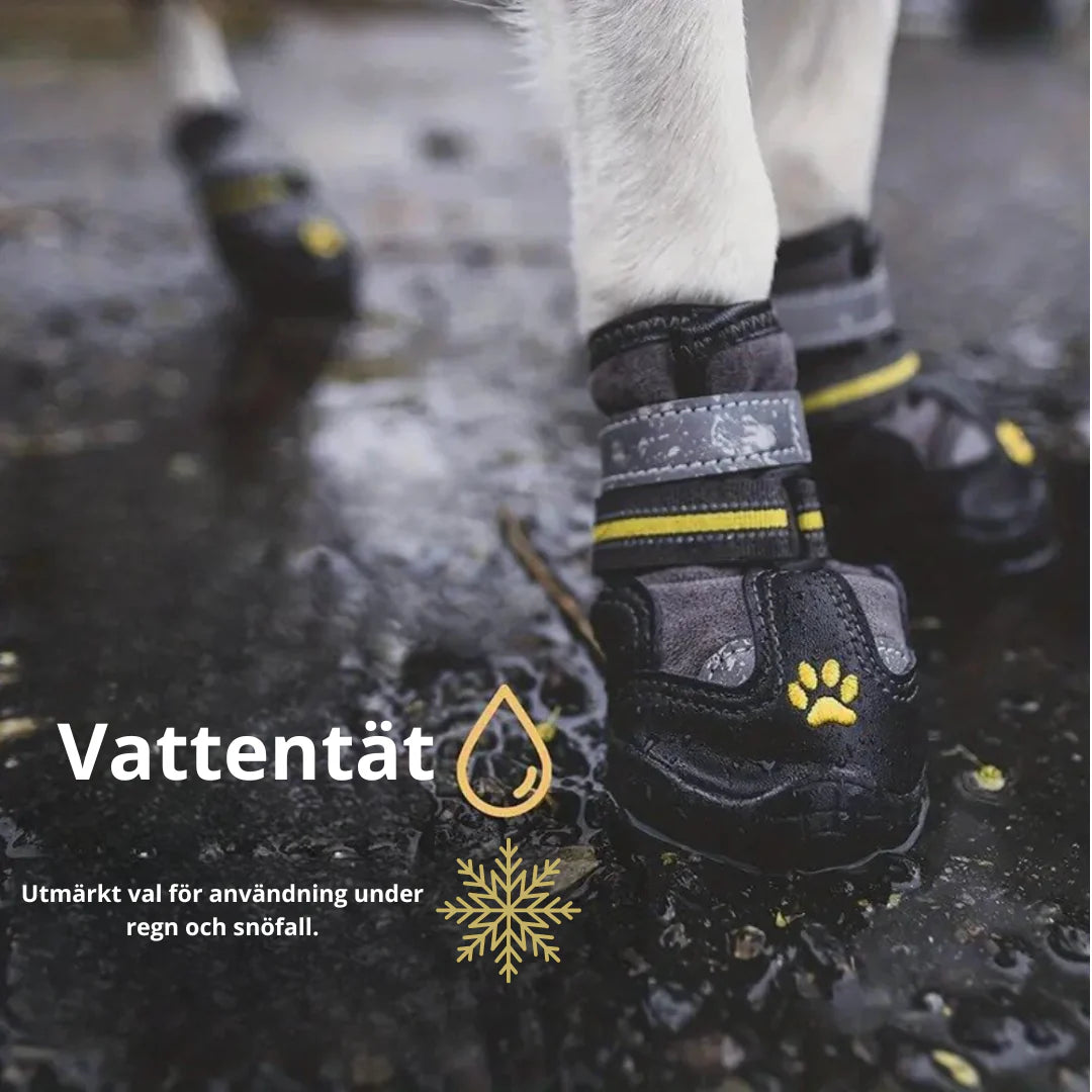 Robusta hundskor med halkfri sula för bättre grepp & tasskydd utomhus.
