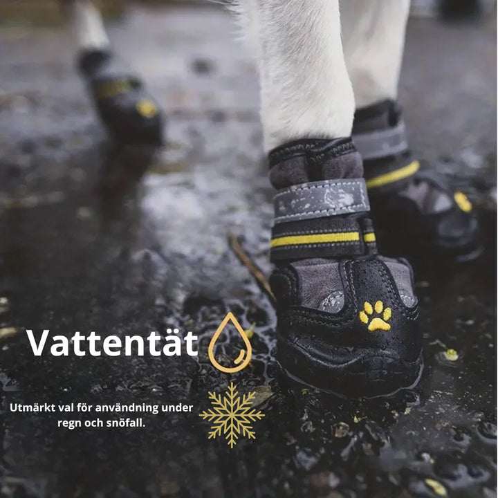 Robusta hundskor med halkfri sula för bättre grepp & tasskydd utomhus.
