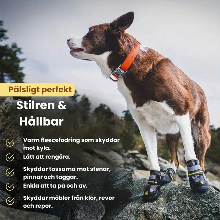 Bekväma reflekterande hundskor med justerbara remmar för säker passform.