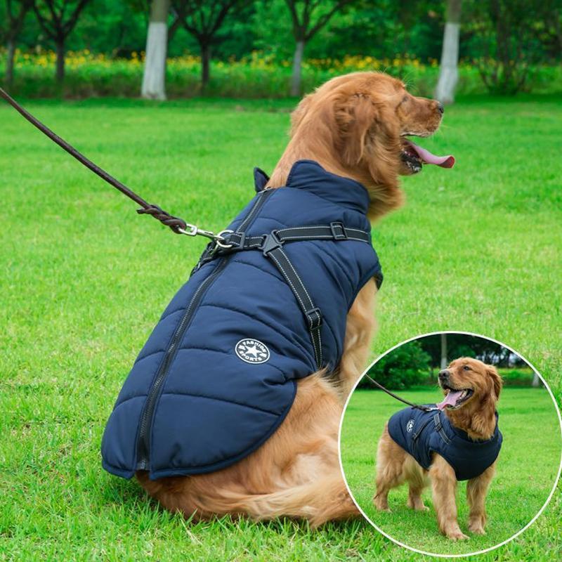 Vattentät vinterrock med dragkedja för hund, fleecefoder, reflekterande detaljer, finns i rött, blått, grönt, lila, svart.