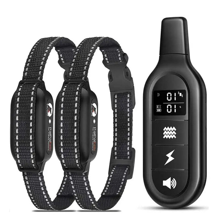Paket med fjärrkontroll och två svarta dressyrhalsband för hund