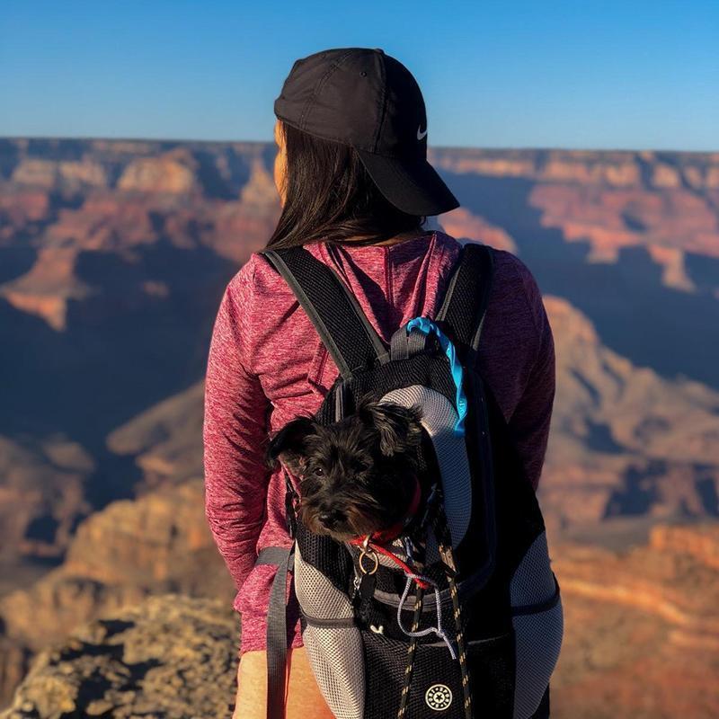"Ventilerande ryggsäck för hund i blått med justerbara bärbälten, säkerhetsrem, sidofickor och flera färgalternativ."