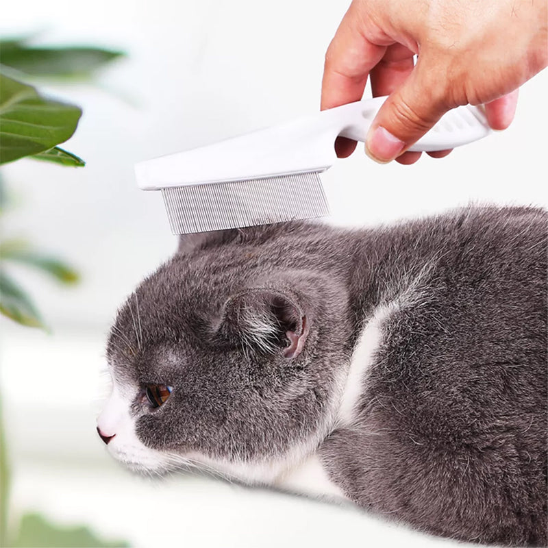 "Vit ergonomisk avtrasselgrooming kam för husdjur med rostfria rundade stift och bekvämt grepp för pälsskötsel."