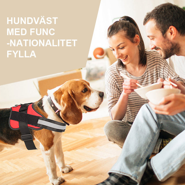 Justerbar Hundsele för Dragfria Promenader