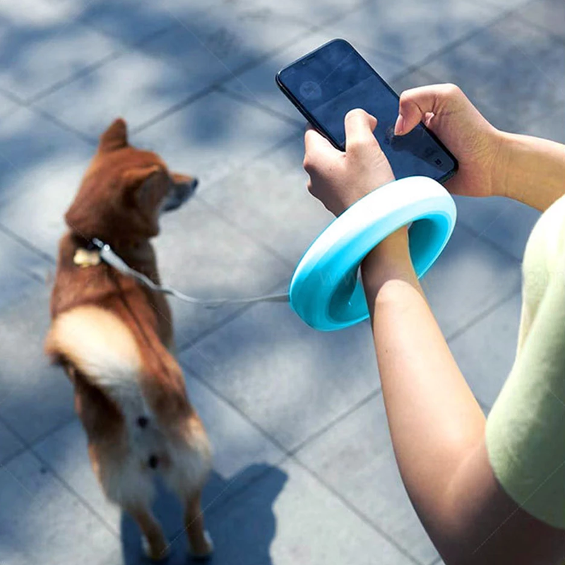 Infällbart Hundkoppel med LED-Nattlampa