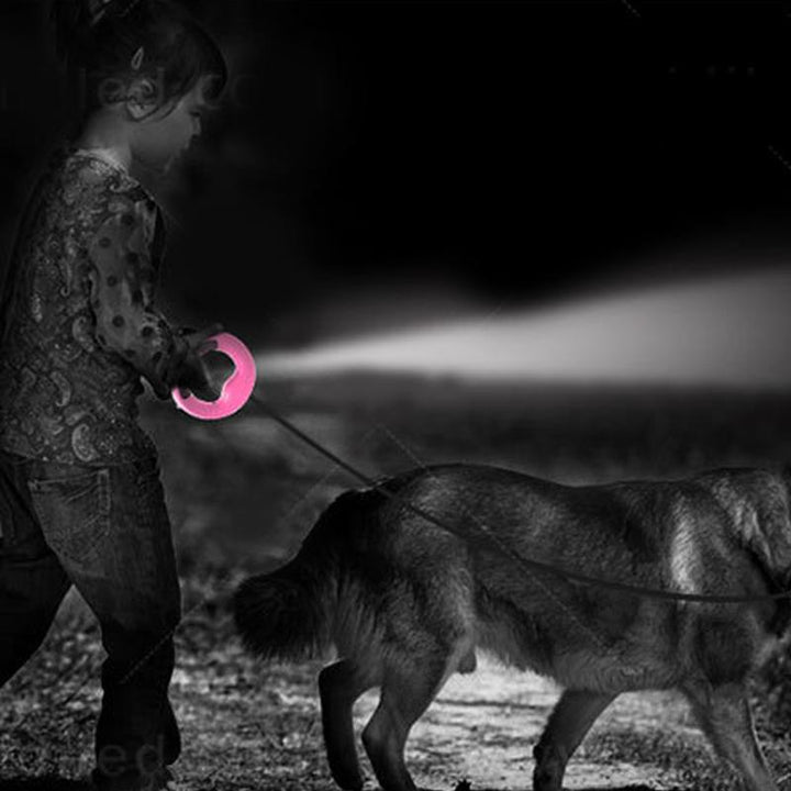 Infällbart Hundkoppel med LED-Nattlampa