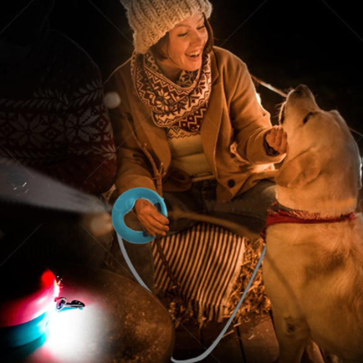 Infällbart Hundkoppel med LED-Nattlampa