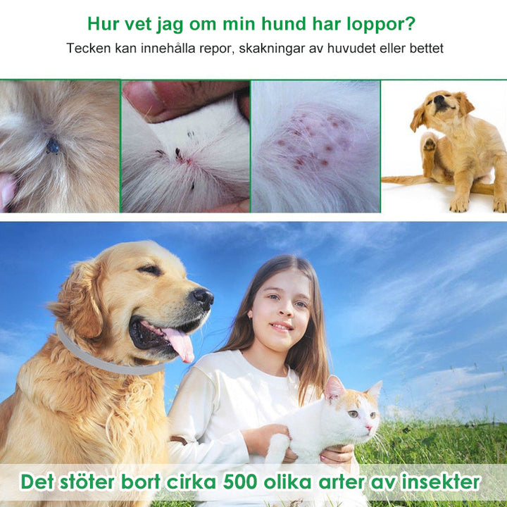 Justerbar Avstötande Krage för Hundar med Eteriska Oljor