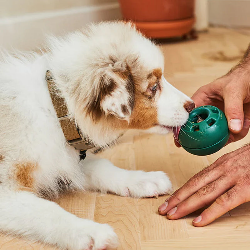 Fyllbar leksak för hund - Långsam matning