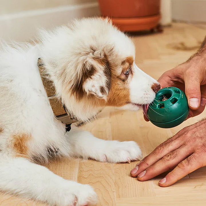 Fyllbar leksak för hund - Långsam matning