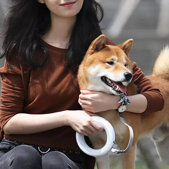Infällbart Hundkoppel med LED-Nattlampa