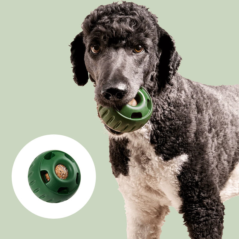 Fyllbar leksak för hund - Långsam matning