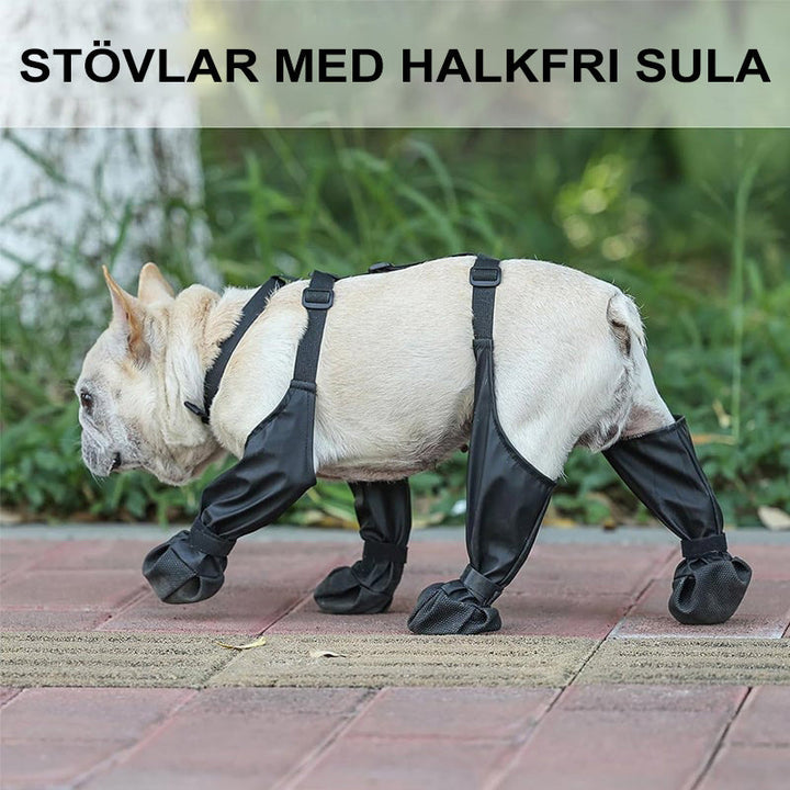 🐾Ultimata Vattentäta Stövlar för Ditt Älskade Husdjur!