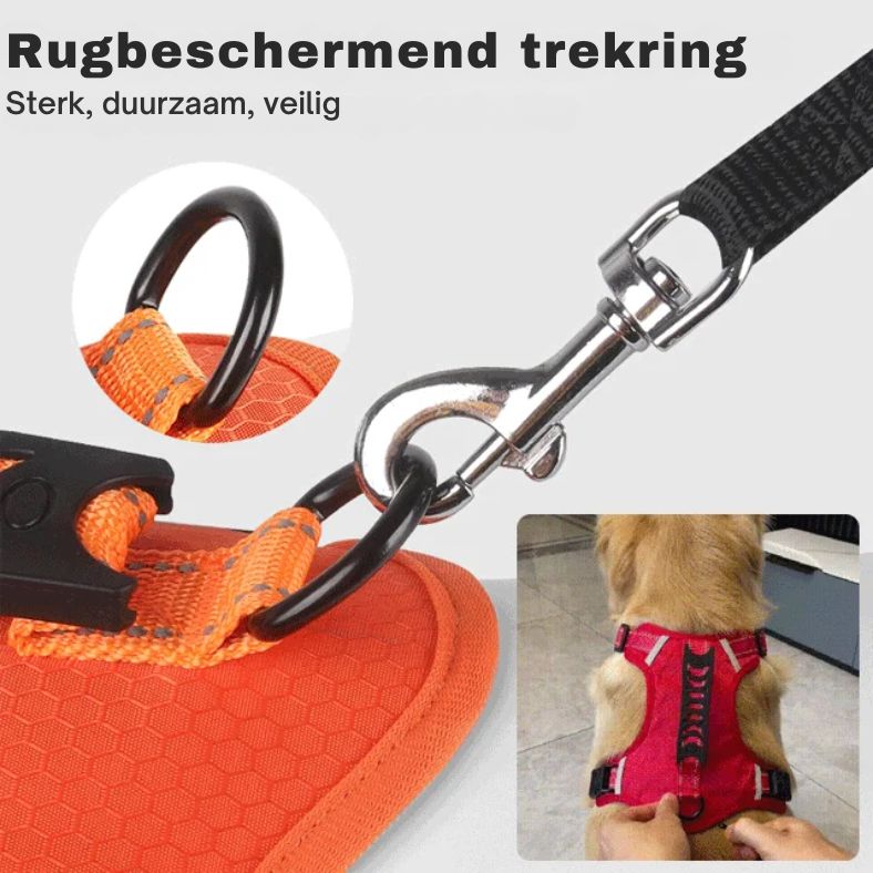 Reflekterande Hundsele för Maximal Synlighet och Komfort