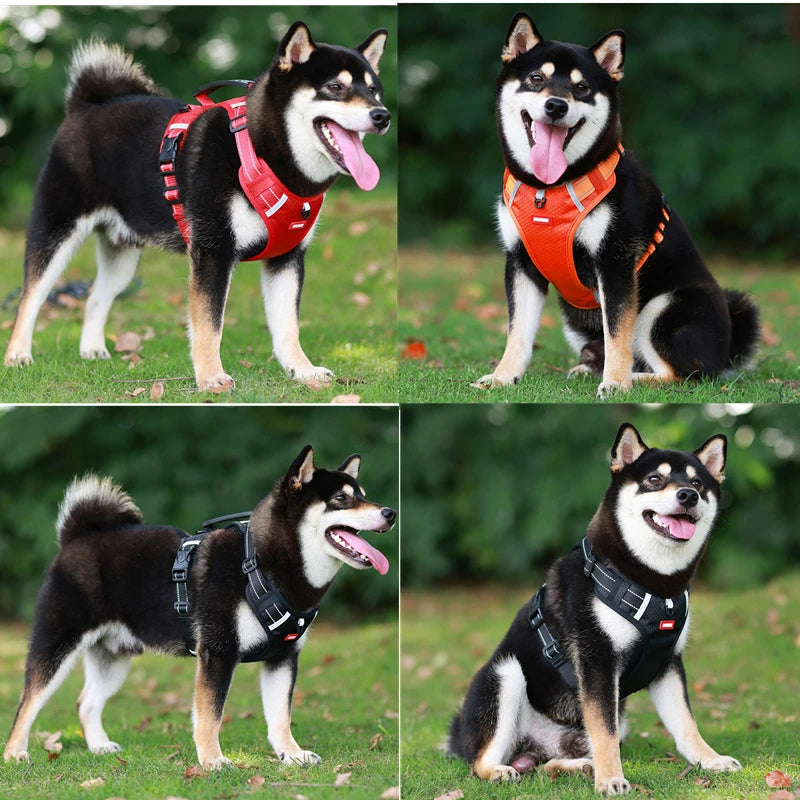 Reflekterande Hundsele för Maximal Synlighet och Komfort