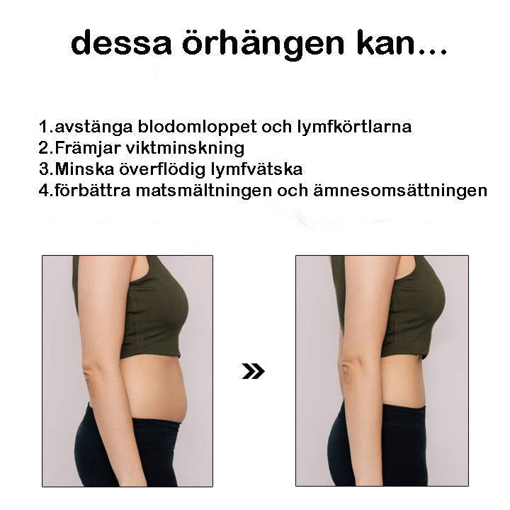 Magnetiska Örhängen