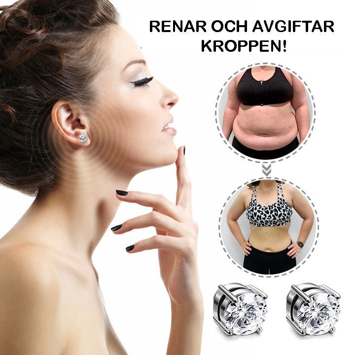Magnetiska Örhängen