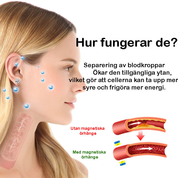 Magnetiska Örhängen